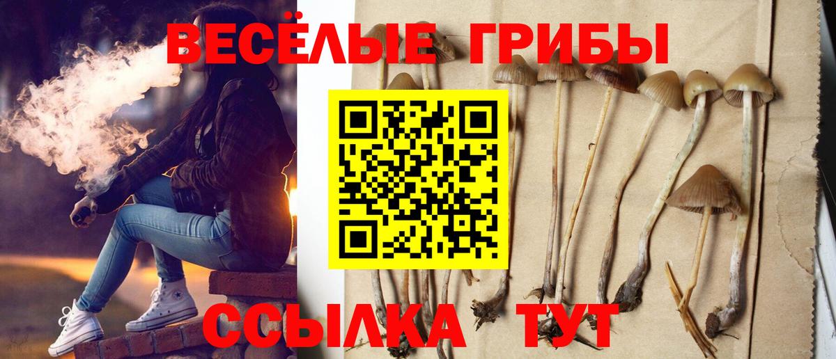 Казань  Псилоцибиновые грибы прущие грибы  Вход с VPN 