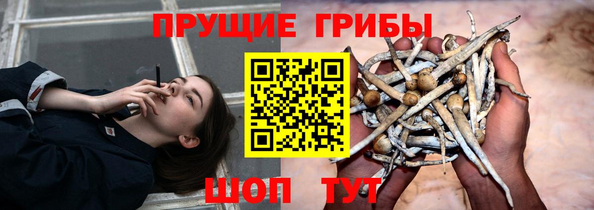 Псилоцибиновые грибы Magic Shrooms Казань